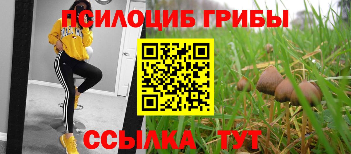 Ижевск  Псилоцибиновые грибы прущие грибы  Вход с VPN 